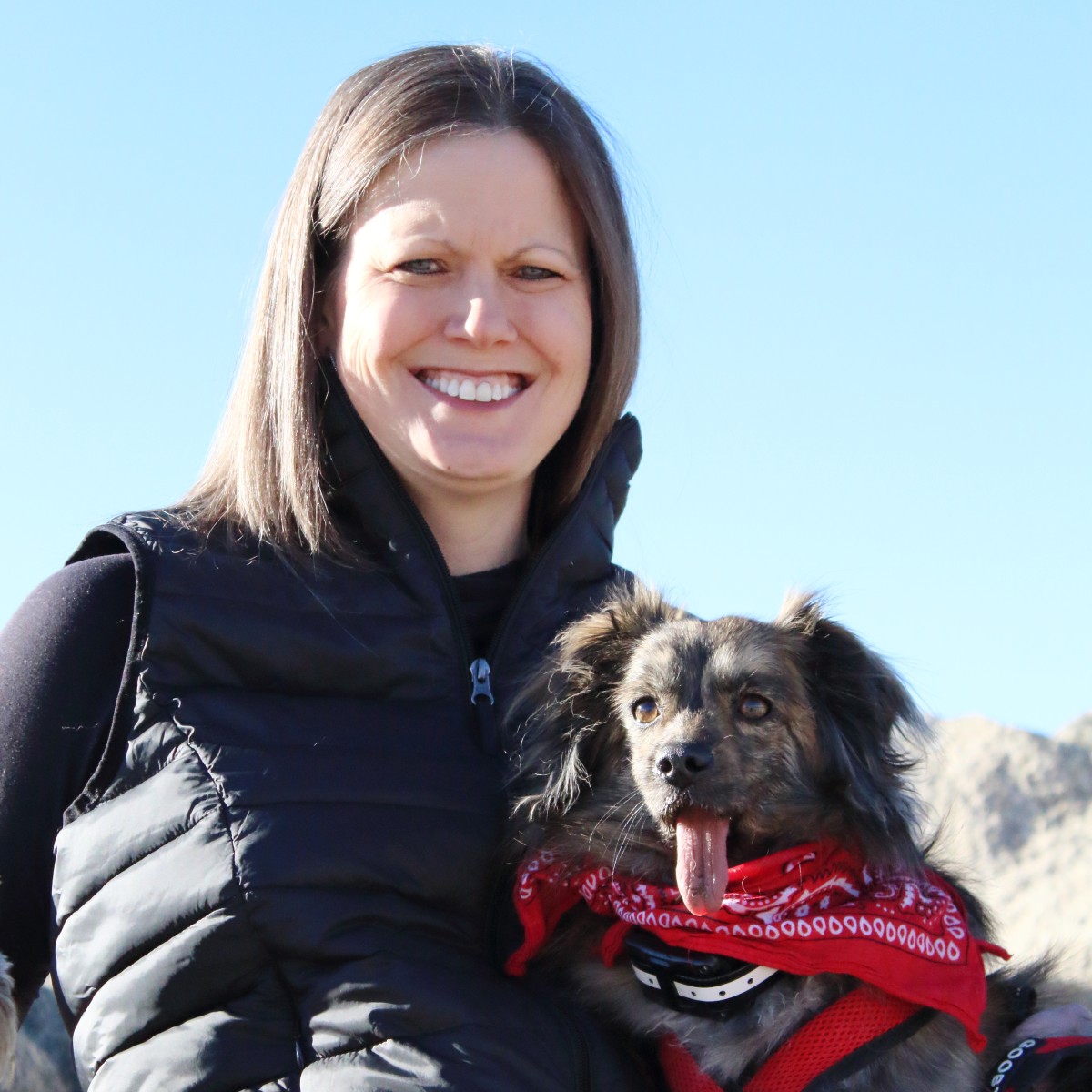 Wheat Ridge, CO 80033 Veterinary Jobs Second Chances Veterinary Care